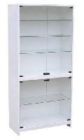 Шкафы медицинские металлические ШСС