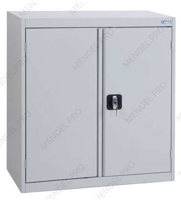 Шкаф ШХА/2 900(40)