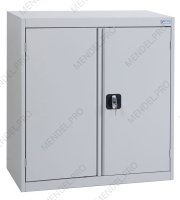 Шкаф архивный ШХА/2 850(40)