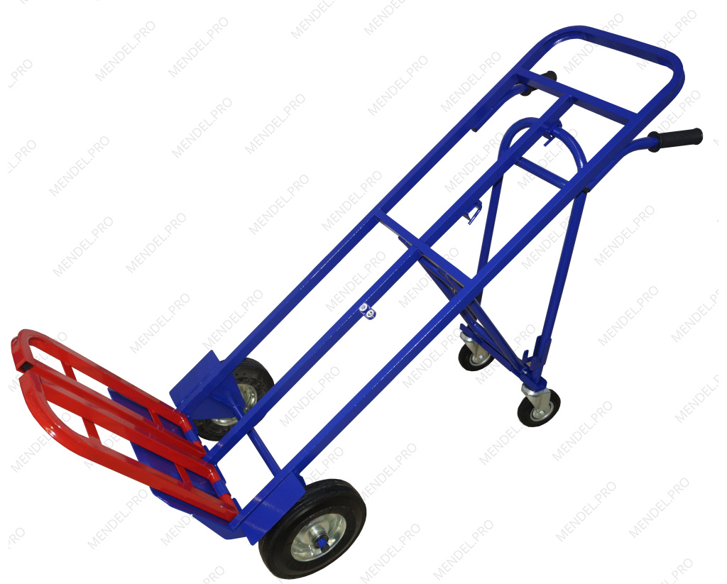 Полка к ТГУ 200