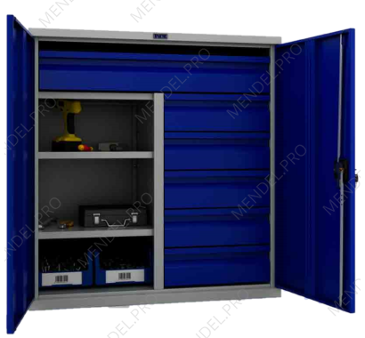 Шкаф инструментальный TC-1095-100215